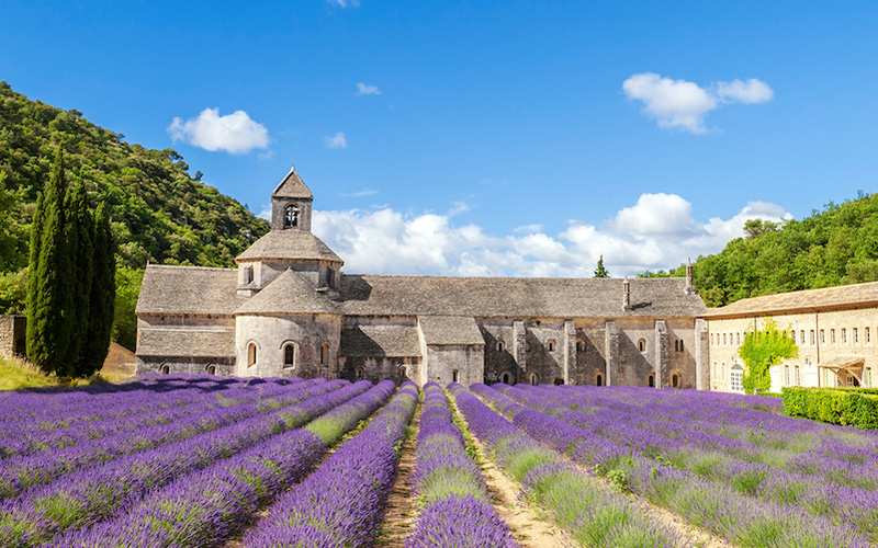 Provence: Über die Sehnsucht nach betörenden Gerüchen und dem besonderen Blau