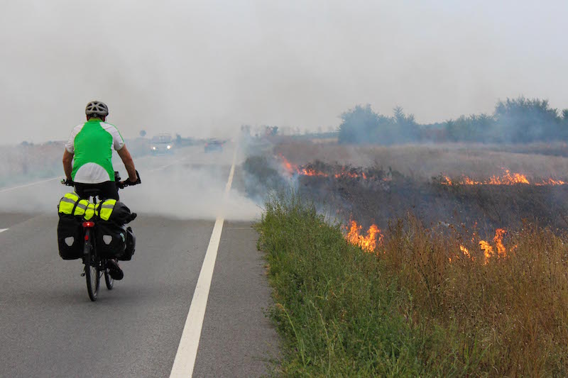 Brandrodung Donauradweg in Rumänien