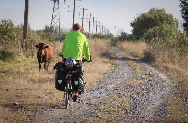 animal encounters on the Danube Cycle Route to the Black Sea
