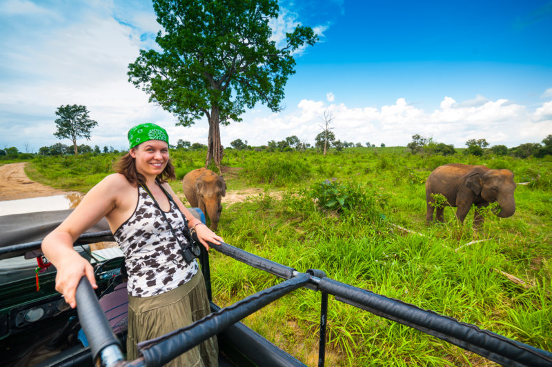 Safari-Begegnung mit Elefant