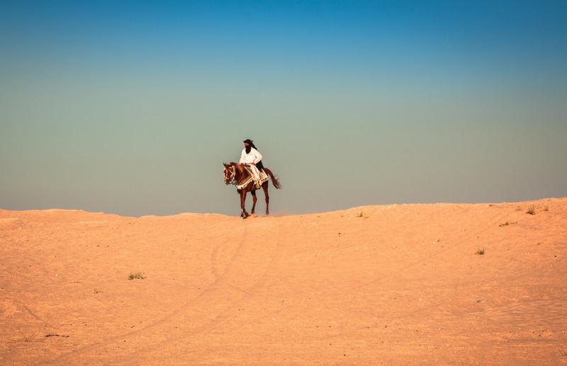 Stolzer Reiter auf seinem bunt verzierten Araber Pferd
