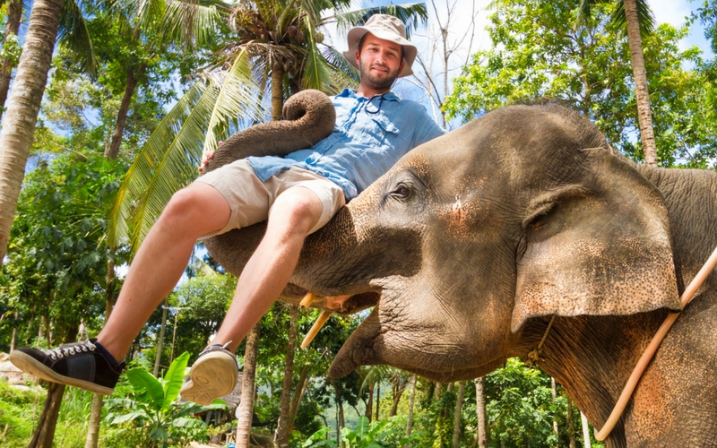 Elefant trägt Mann auf Rüssel