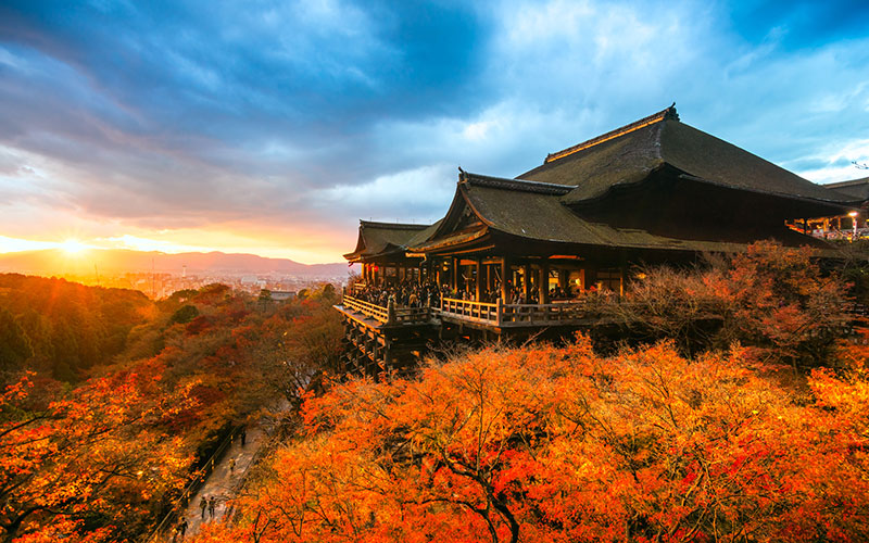 Kyoto Herbstlaubfärbung