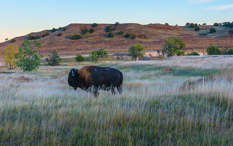 Der Mittlere Westen: Im Land der Lakota