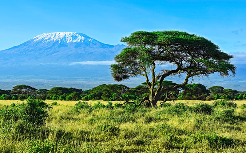 Eine Reise durch Tansania: Viktoriasee, Serengeti und Kilimandscharo