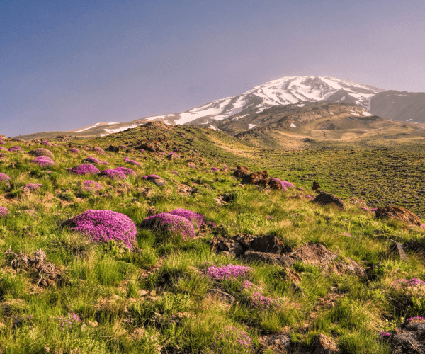 Wandern im Iran: Gipfeltouren rund um Teheran