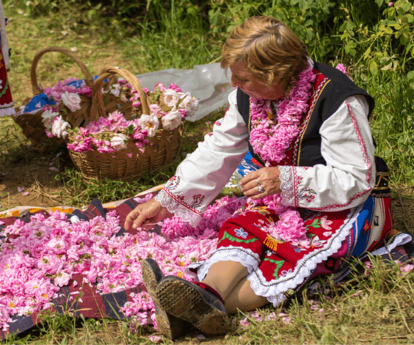 Rosen-Pflückerin beim Rosental-Festival in Kazanlak