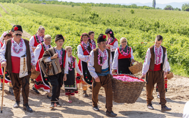 Rosen-Pflücker beim Rosental-Festival in Kazanlak